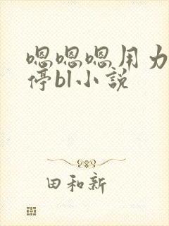 嗯嗯嗯用力不要停bl小说封面