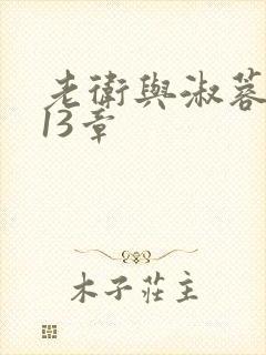 老卫与淑蓉小说13章