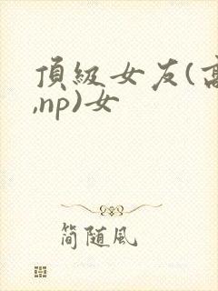 顶级女友(高h,np)女