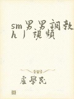 sm男男调教〈h丿视频