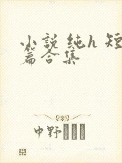 小说 纯h 短篇合集封面