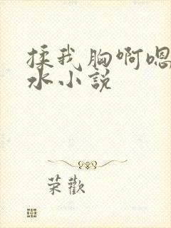 揉我胸啊嗯～出水小说封面