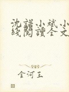 沈诺小斌小说在线阅读全文封面