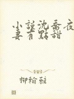 小说沈乔夜少娇妻有点甜封面