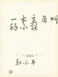 一本主角叫林凡的小说封面