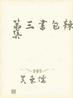第三书包辣文合集