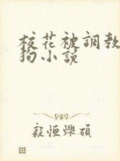 校花被调教成母狗小说