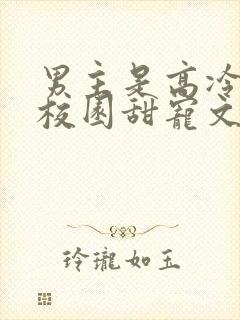 男主是高冷校草校园甜宠文