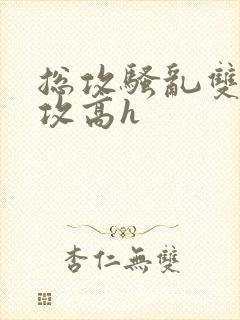 总攻骚乱双性互攻高h