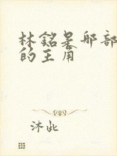 林铭是哪部小说的主角