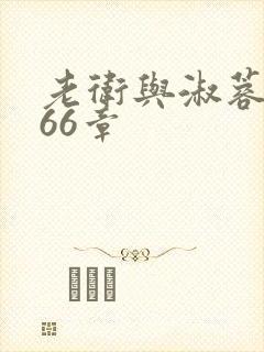 老卫与淑蓉全集66章