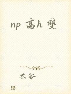np 高h 双