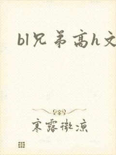 bl兄弟高h文封面