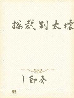 总裁别太坏的封面