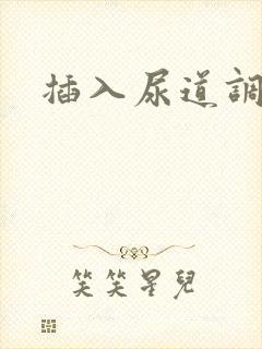 插入尿道调教文