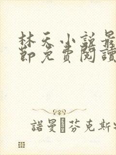 林天小说最新章节免费阅读全文封面