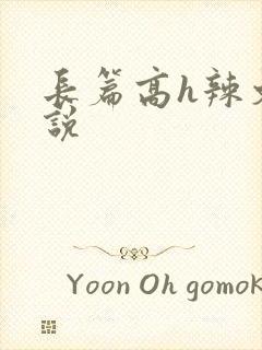 长篇高h辣文小说