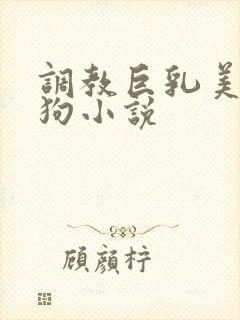 调教巨乳美女母狗小说封面