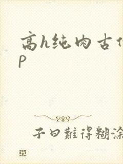 高h纯肉古代np