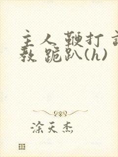 主人 鞭打 调教 跪趴(h)