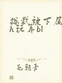 总裁被下属调教h玩弄bl