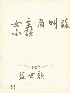 女主角叫苏浅的小说