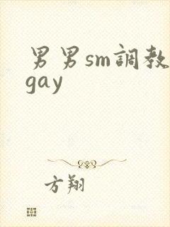 男男sm调教深gay