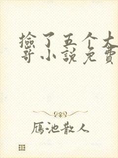 捡了五个大佬哥哥小说免费阅读