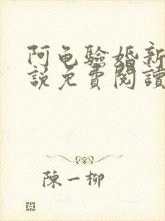 阿龟验婚新娘小说免费阅读无弹窗封面