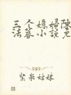 三个媳妇陈红陈法蓉小说免费阅读全封面