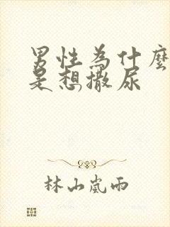 男性为什么我老是想撒尿封面