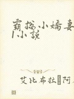 霸总小娇妻1v1小说