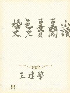 婚色暮暮小说全文免费阅读