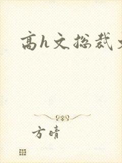 高h文总裁文