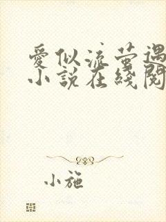 爱似流萤遇繁星小说在线阅读封面