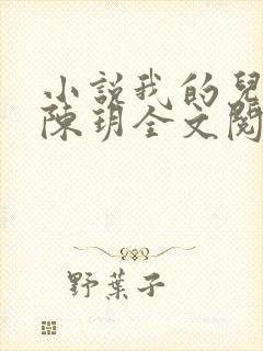 小说我的儿媳妇陈玥全文阅读