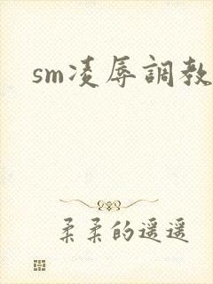 sm凌辱调教文