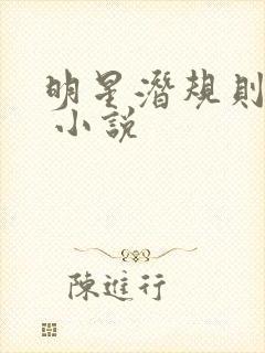 明星潜规则之皇 小说