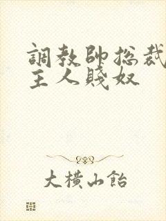 调教帅总裁跪下主人贱奴