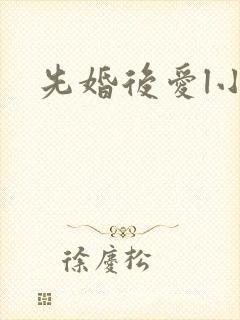 先婚后爱l小说封面