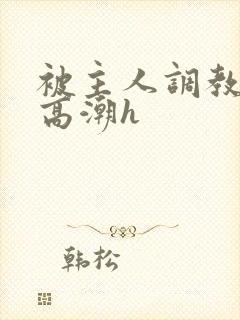 被主人调教当众高潮h