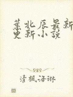 叶北辰最新章节更新小说封面