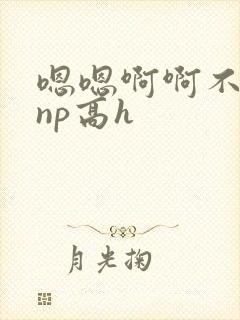 嗯嗯啊啊不要啊np高h