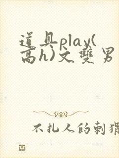 道具play(高h)文双男主