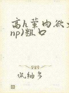 高h荤肉欲文(np)粗口