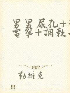 男男尿孔+灌+电击+调教小说