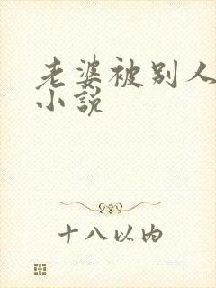 老婆被别人操的小说