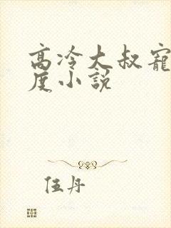 高冷大叔宠妻无度小说