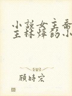 小说女主乔念男主林烨的小说