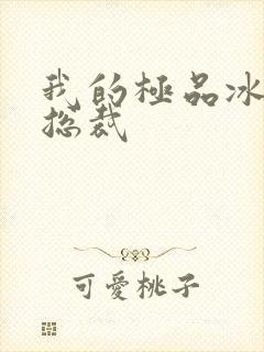 我的极品冰山女总裁